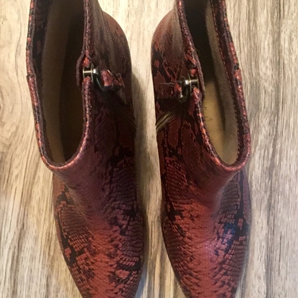 Splendid Nettie Phyton Kitten Heel Booties NEW - Picture 3 of 7